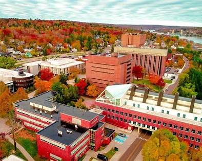 Michigan Technological University